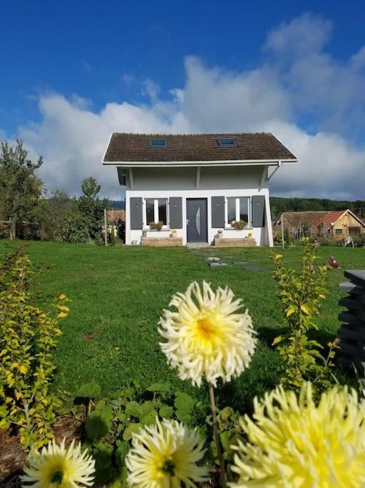Gite Le Charmot, Au Pied Des Montagnes Classe 3* Roderen 외부 사진
