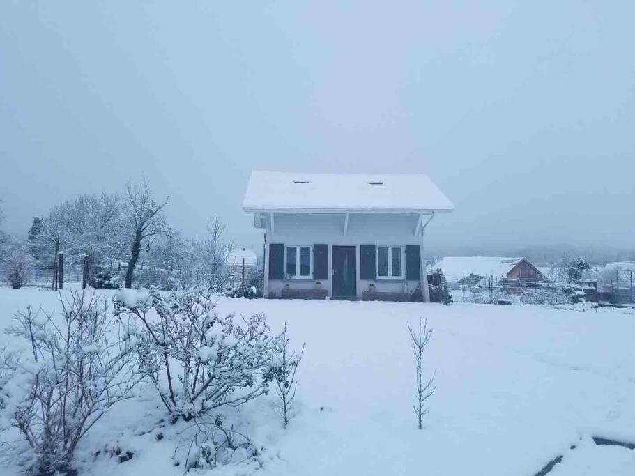 Gite Le Charmot, Au Pied Des Montagnes Classe 3* Roderen 외부 사진