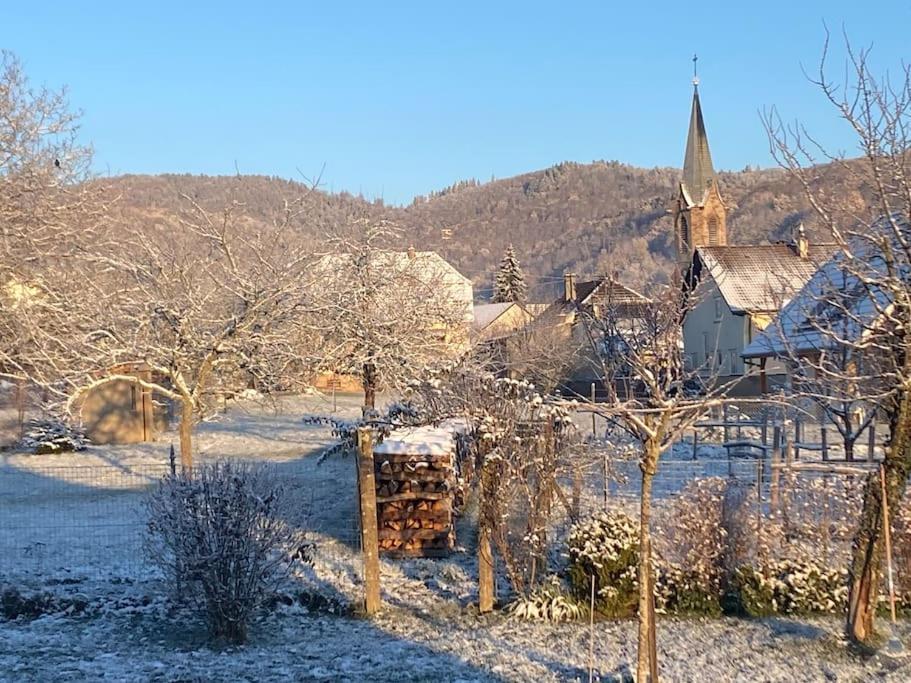 Gite Le Charmot, Au Pied Des Montagnes Classe 3* Roderen 외부 사진