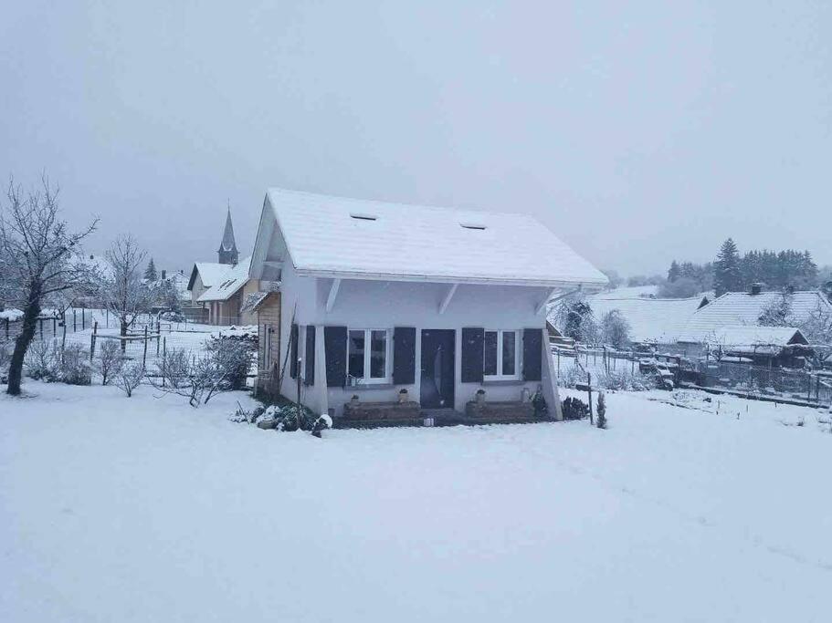 Gite Le Charmot, Au Pied Des Montagnes Classe 3* Roderen 외부 사진