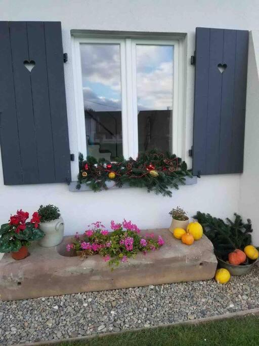 Gite Le Charmot, Au Pied Des Montagnes Classe 3* Roderen 외부 사진